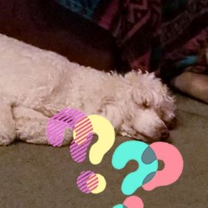 Meet your Posher, Tina